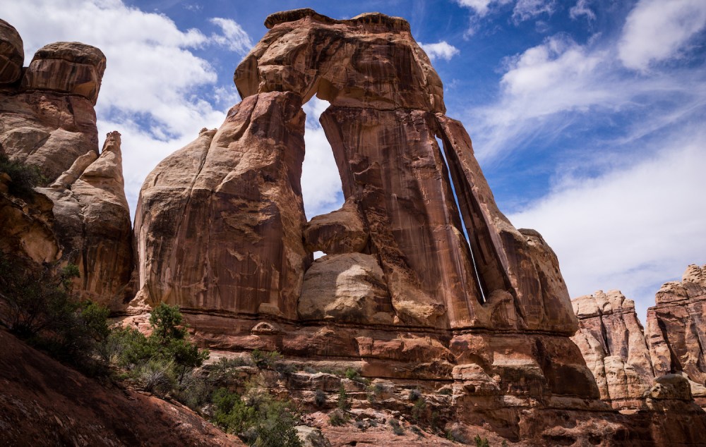 12. Dynamic Druid Arch