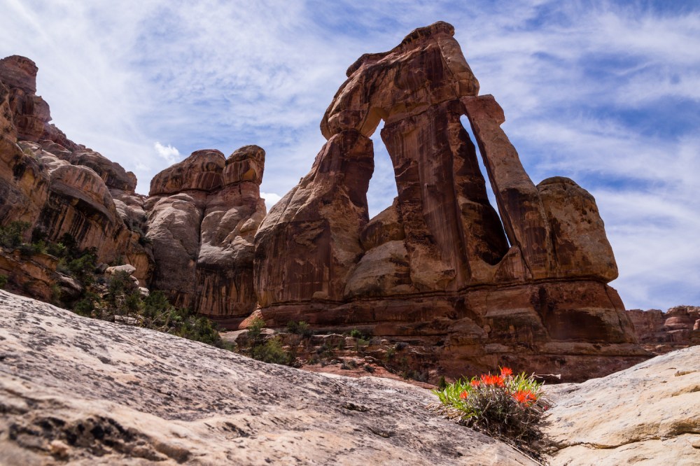 13. Druid Arch with Brushes