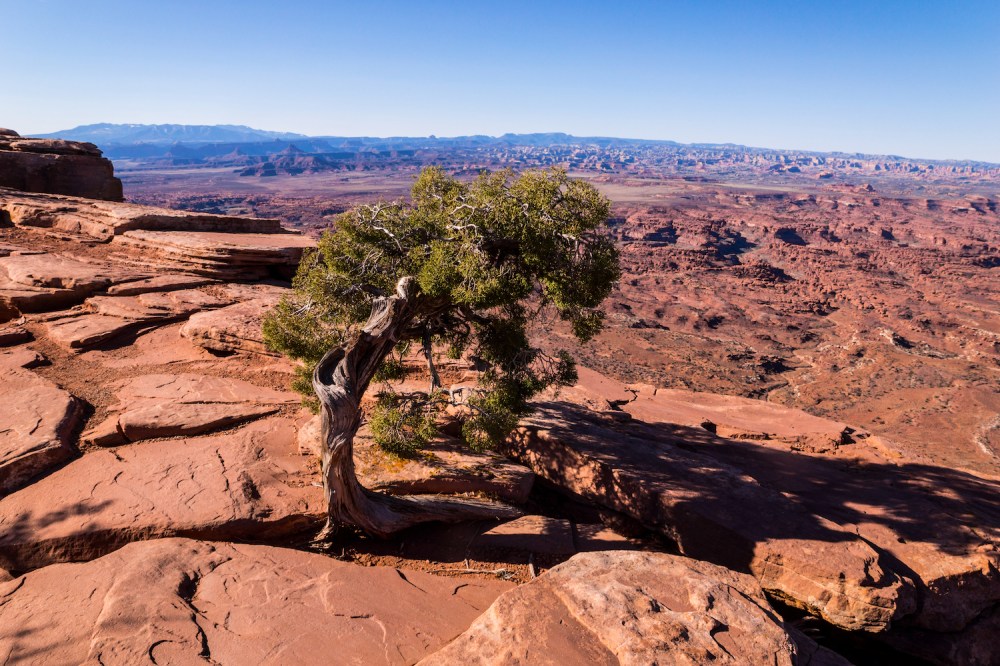 23. Needles Overlook