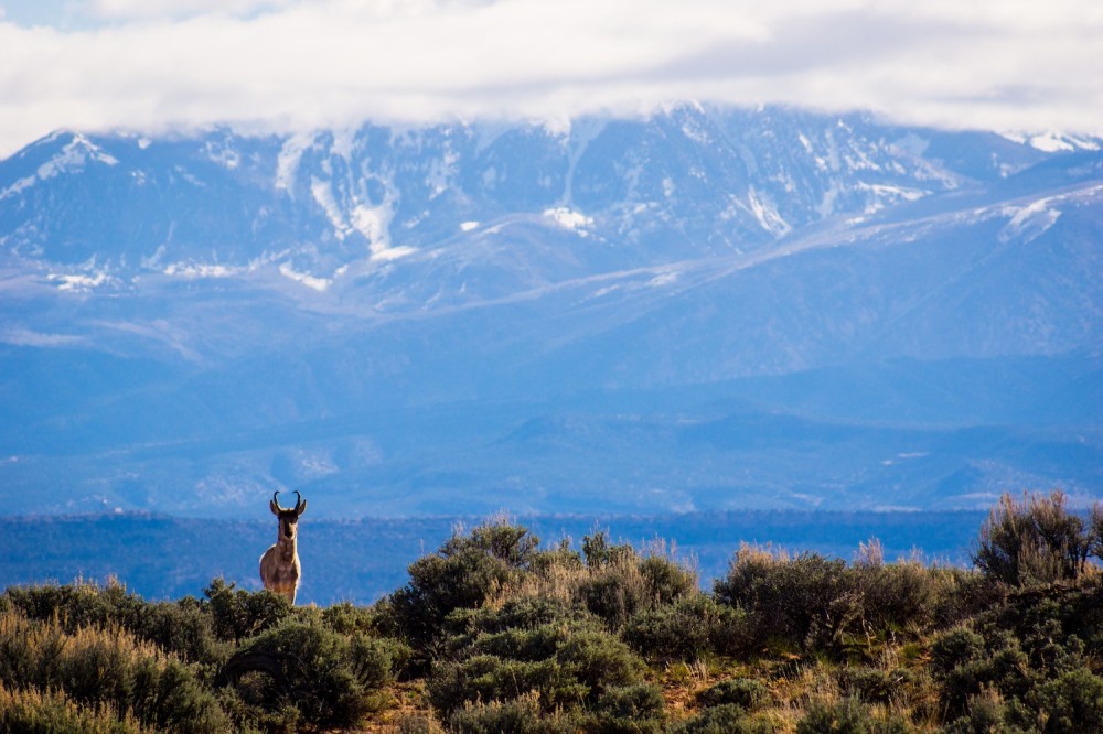 24. A Good Wrong Turn