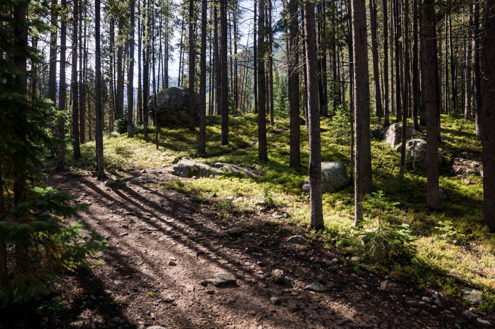 8. trail and rock again