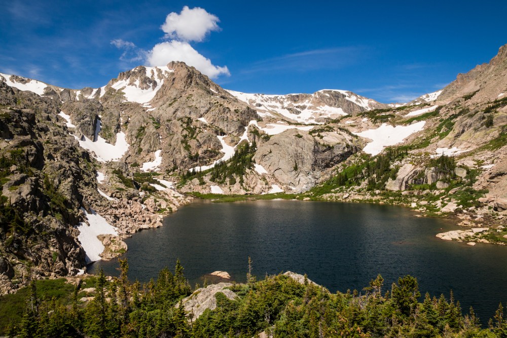 16. bluebird up high