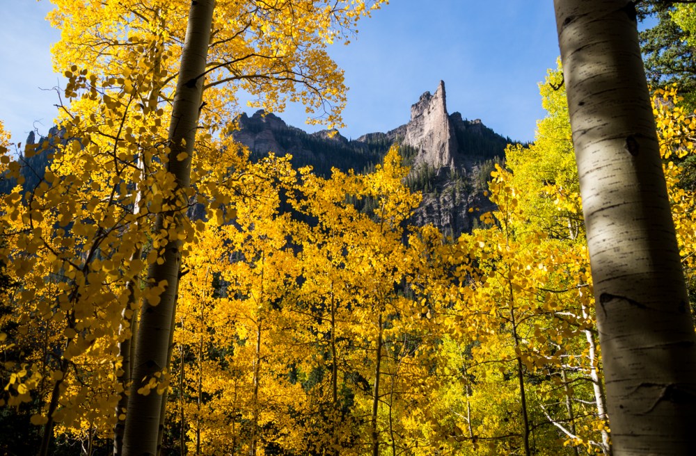 10. i've taken this shot before