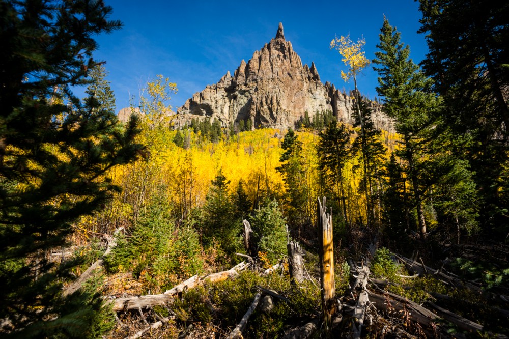 14. i've taken this shot also