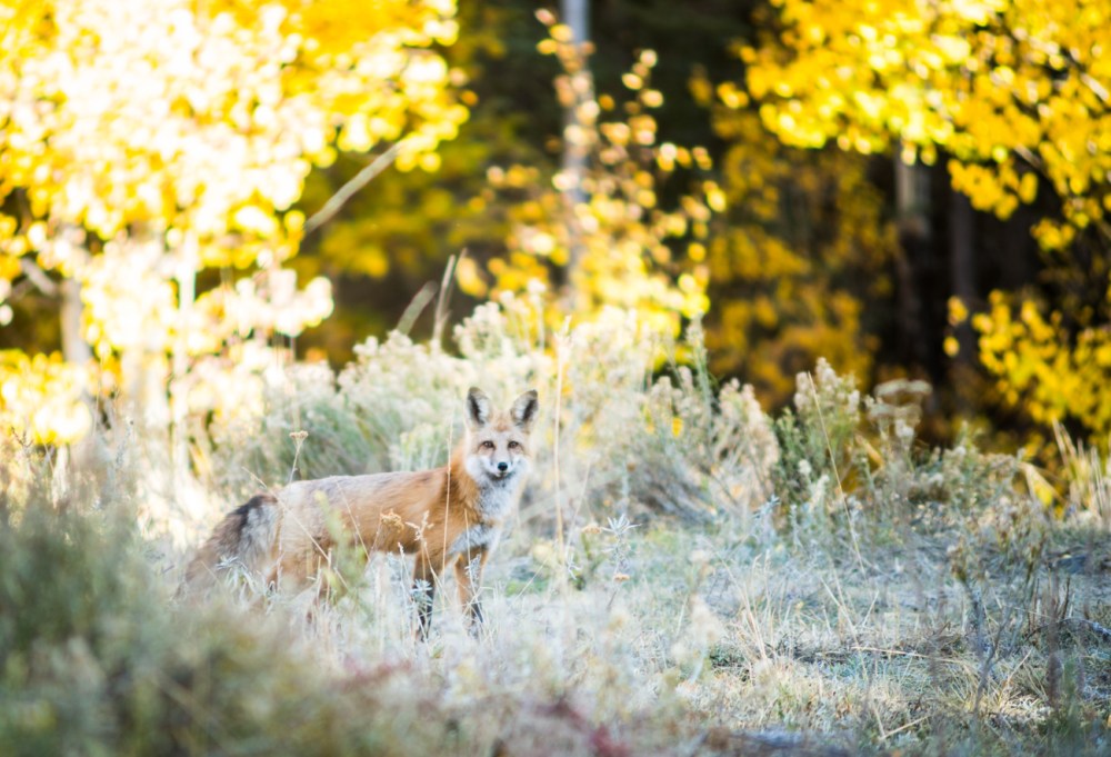 26. no need to put in blog